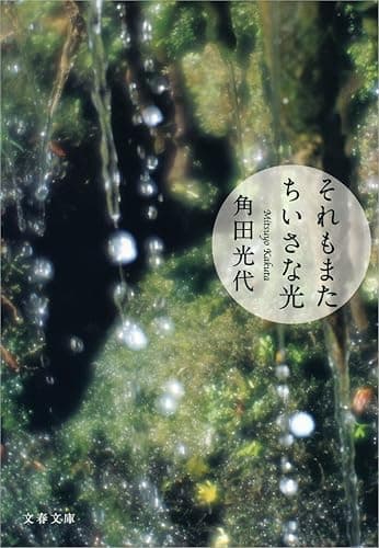 それもまたちいさな光 (文春文庫)