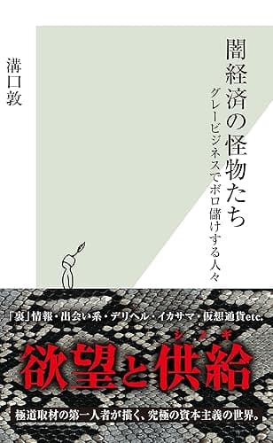 闇経済の怪物たち~グレービジネスでボロ儲けする人々~ (光文社新書)