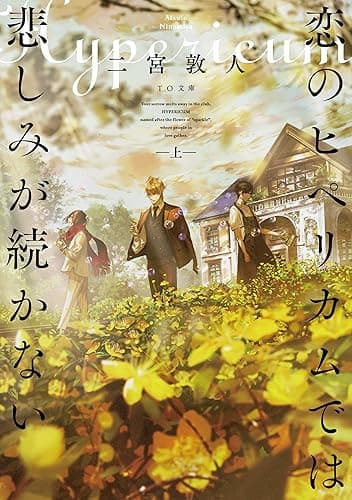 恋のヒペリカムでは悲しみが続かない 上 (TO文庫)