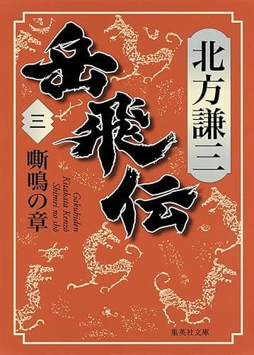 岳飛伝 三 嘶鳴の章 (集英社文庫)